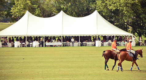 Polo for Babies field image.